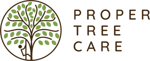 Proper Tree Care